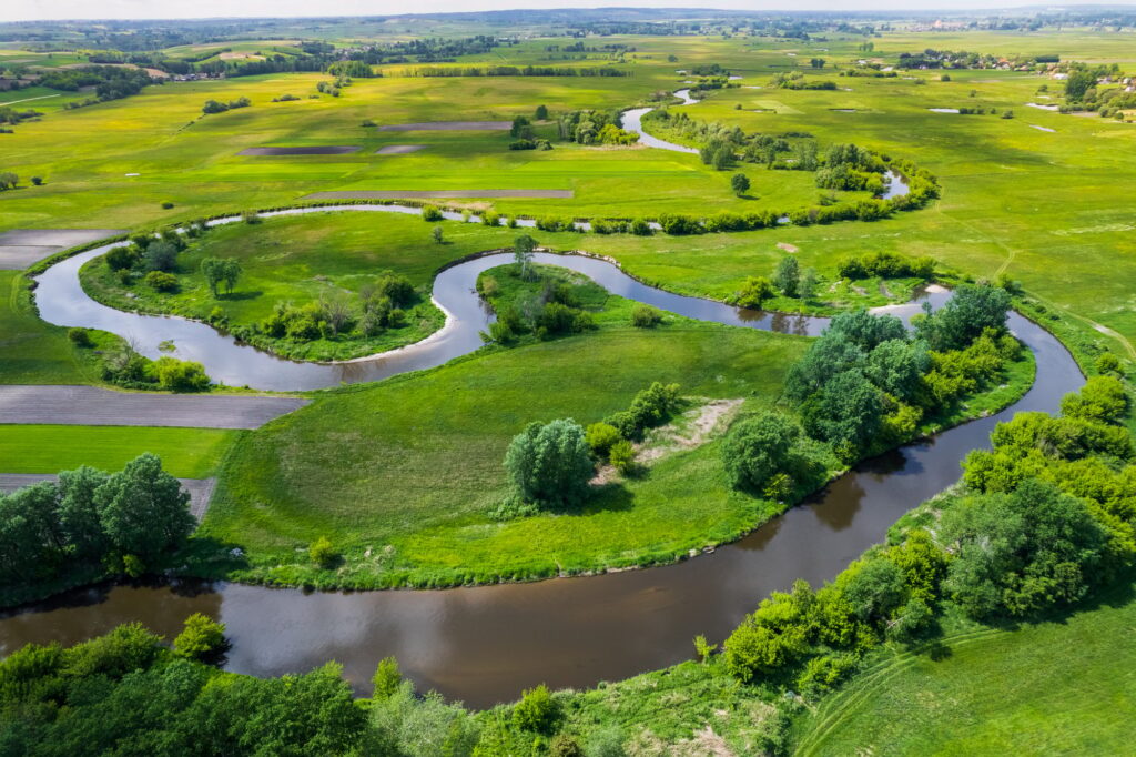curvy River Bends. Nida in Poland. Aerial Drone View